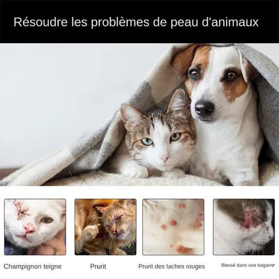 IntiMeg Spray anti-dermatite poor chats en cheins