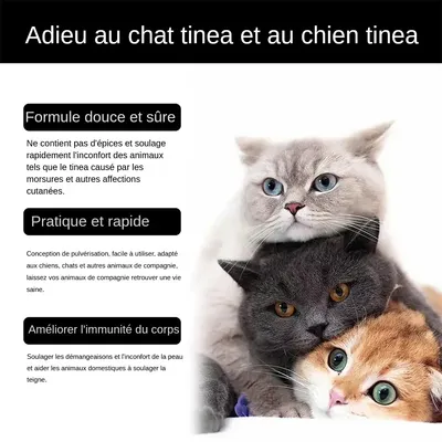IntiMeg Spray anti-dermatite poor chats en cheins