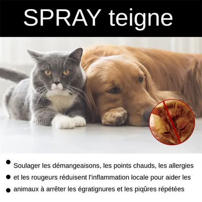 IntiMeg Anti-Dermatitis-Spray für Katzen und Hunde