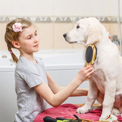 IntiMeg Brosse de toilette double face pour chiens et chats