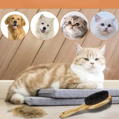 IntiMeg Brosse de toilettage double face pour chiens et chats