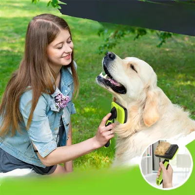 IntiMeg Kits de toilettage pour chiens