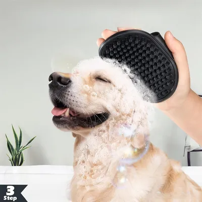 IntiMeg Kits de toilettage pour chiens