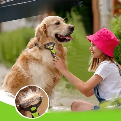 IntiMeg Kits de toilettage pour chiens