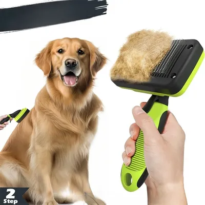 IntiMeg Kits de toilettage pour chiens