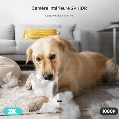 IntiMeg Caméra de surveillance WiFi pour  animaux