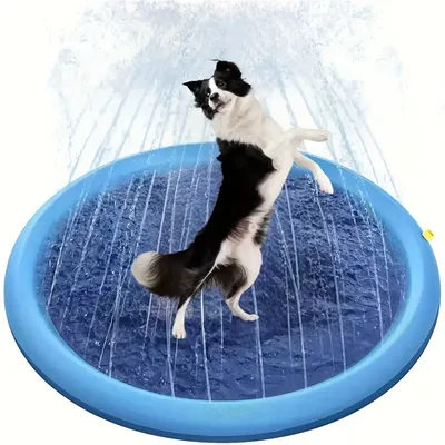 Direct Power Splash Pad pour chien
