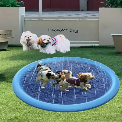 Direct Power Splash Pad pour chien