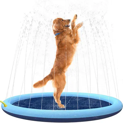 Direct Power Splash Pad pour chien