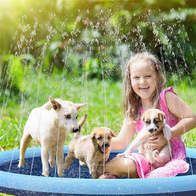 Direct Power Splash Pad pour chien