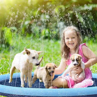 Direct Power Splash Pad pour chien