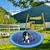 Direct Power Splash Pad pour chien