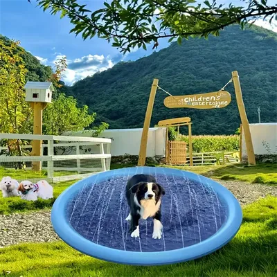 Direct Power Splash Pad pour chien