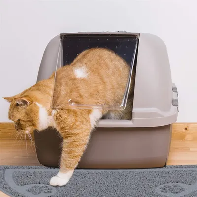 IntiMeg Tapis de Gamelle pour Chats et Chiens