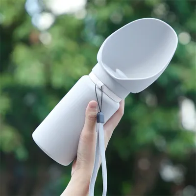 IntiMeg Flacon d'eau portable pour chien