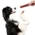 Direct Power Os à saisir au goût de viande pour gros chien