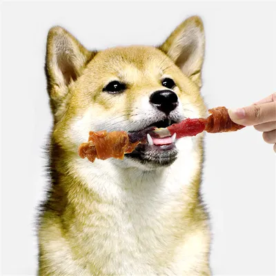 Direct Power Brochettes de poulet pour chien