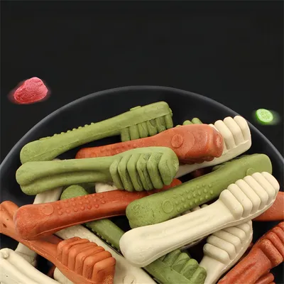 Direct Power Os à gratter et nettoyer les dents pour chien