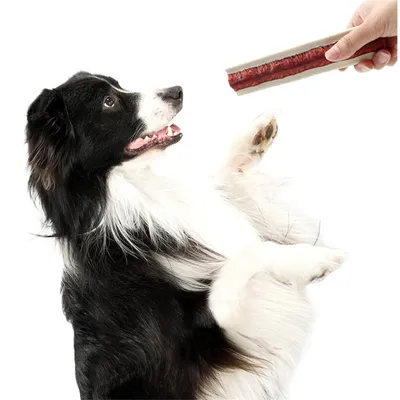 Direct Power Os à saisir au goût de viande pour gros chien