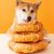 Direct Power Anneaux de poulet Dog Snack