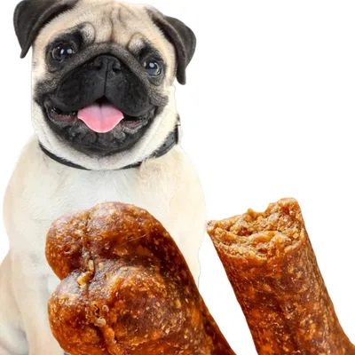 Direct Power  Os nettoyants pour dents de bœuf Dog Snacks 10 pièces