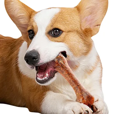 Direct Power  Os nettoyants pour dents de bœuf Dog Snacks 10 pièces