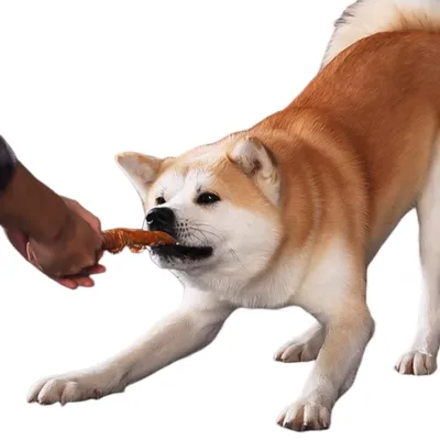 Direct Power Barre de grignotage pour chien en cuir enroulé de poulet