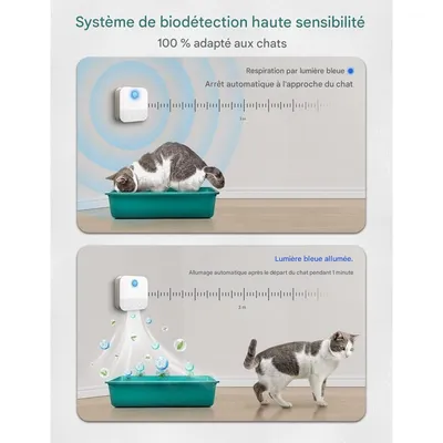 IntiMeg Geruchsentferner für Katzenstreu