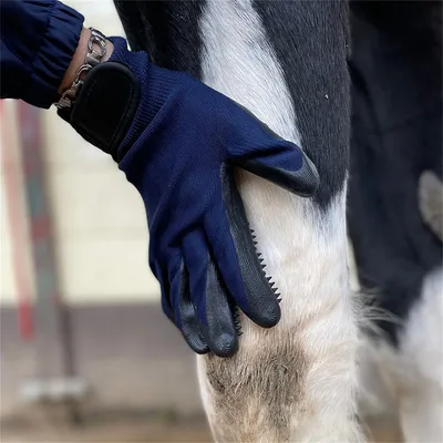 IntiMeg Gants de toilettage