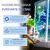 IntiMeg Poudre Algicide pour Nettoyeur d'Aquarium