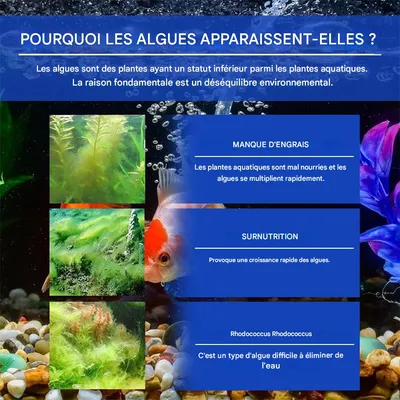 IntiMeg Poudre Algicide pour Nettoyeur d'Aquarium