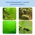 IntiMeg Poudre Algicide pour Nettoyeur d'Aquarium