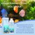 IntiMeg Poudre Algicide pour Nettoyeur d'Aquarium