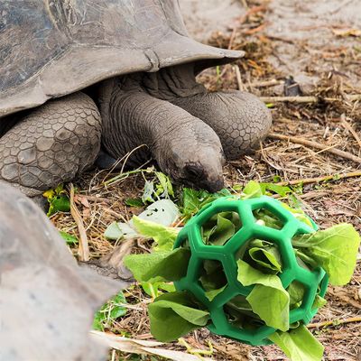 IntiMeg - Balle à Friandises - Tortue