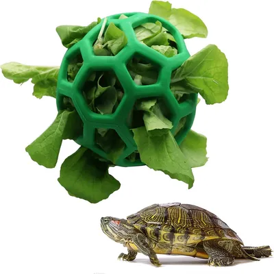 IntiMeg Balle à Friandises en Forme de Tortue