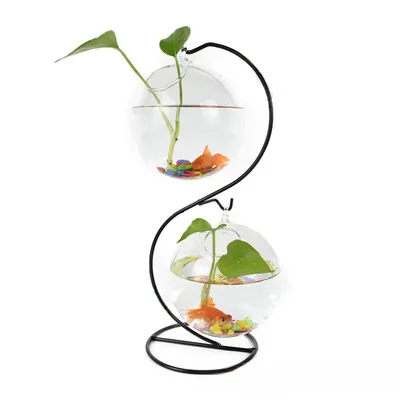 IntiMeg Petit aquarium