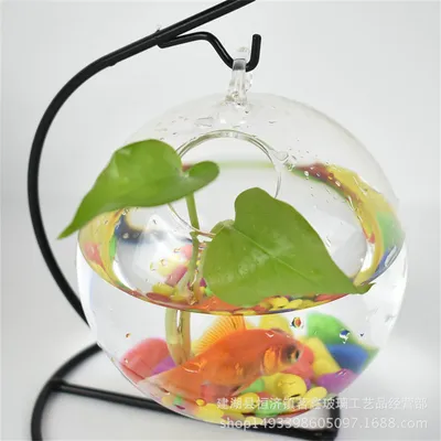 IntiMeg Petit aquarium