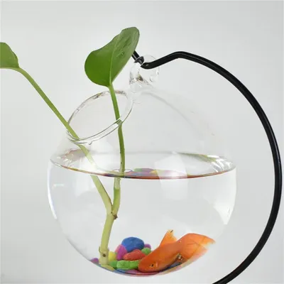 IntiMeg Petit aquarium