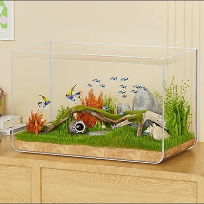 IntiMeg Mini aquarium pour bureau