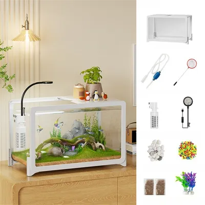 IntiMeg Mini aquarium pour burea IntiMeg Mini aquarium pour burea