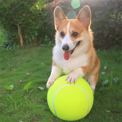 IntiMeg Pelota de tenis gigante de 9,5 pulgadas para perros