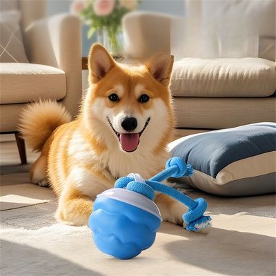 IntiMeg Boule interactive pour chien rechargeable