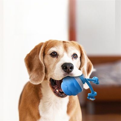 IntiMeg Pelota interactiva recargable para perros