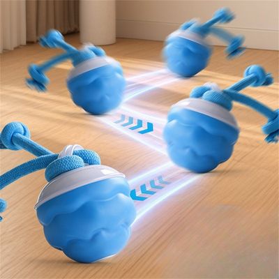 IntiMeg Pelota interactiva recargable para perros