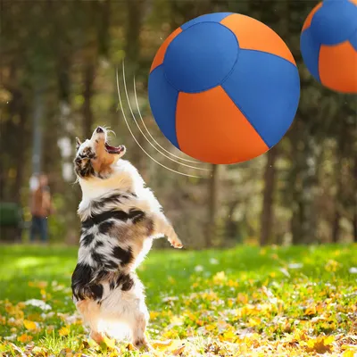 IntiMeg Balle jouet pour chien de 45 cm