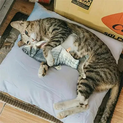 IntiMeg Jouet pour chat - Poisson mobile réaliste