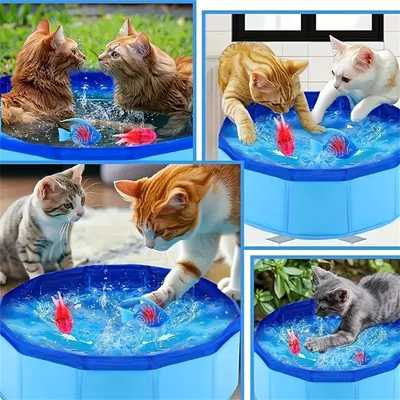 IntiMeg Bassin de jeu pour chats pliable