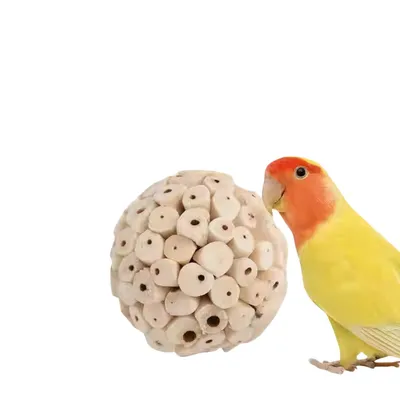 Direct Power boule d'herbe jouet oiseau