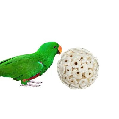 Direct Power boule d'herbe jouet oiseau