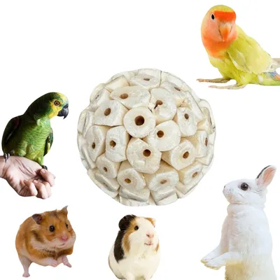 Direct Power boule d'herbe jouet oiseau Direct Power boule d'herbe jouet oiseau